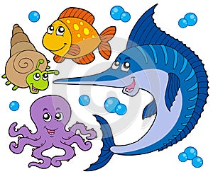 Aquatic animals collection 3