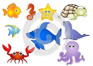 Aquatic animals photo