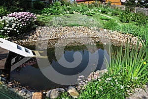 Aquatic garden