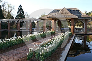 Aquatic Garden