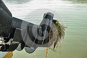 Aquatic plants entangled in marine engine