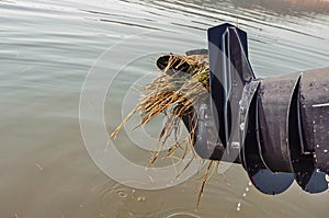 Aquatic plants entangled in marine engine