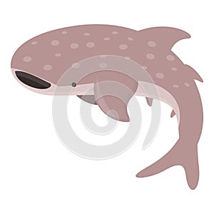 Aquatic whale shark icon cartoon vector. Ocean fish