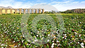 Aqueduct at Aspendos in Antalya, Turkey