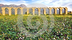 Aqueduct at Aspendos in Antalya, Turkey