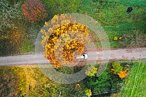 ar drives along on a dirt road through a beautiful autumn forest. Drone photo. Aerial view