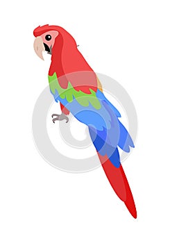 Ara Parrot Cartoon Icon in Flat Design