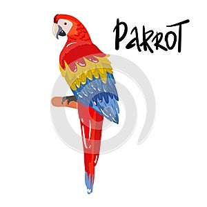 Ara parrot. hand drawing Isolated vector tropical design element. Tropical birds on the white background