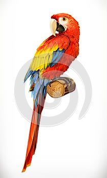 Ara parrot. Macaw. Photo realistic