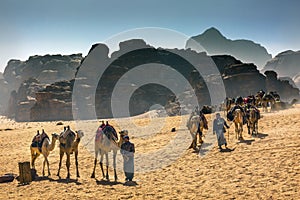 Arab Bedouin Guides Camels Valley of the Moon Wadi Rum Jordan
