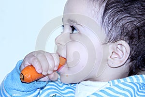Arab egyptian baby girl eating carrot