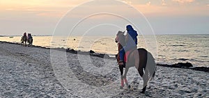 Arab horseman on the beach