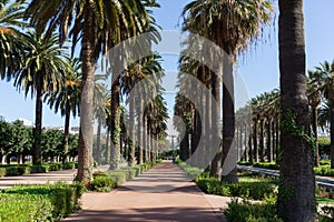 The Arab League Park is an urban park in Casablanca, Morocco