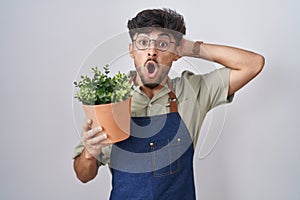 Arab man with beard holding green plant pot crazy and scared with hands on head, afraid and surprised of shock with open mouth