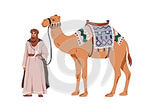 Arab man and camel. Moroccan bedouin holding, owning desert animal transport with saddle, bridle. Arabian nomad. African