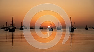 Arab traditional dhows in the shore during the sunrise in Qatar