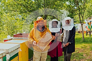 Arab woman investitors with an experienced senior beekeeper checking the quality and production of honey at a large bee