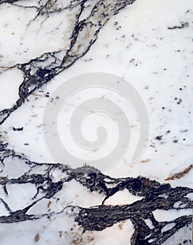 Arabescato marble texture