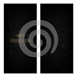 Arabesque eastern pattern darker than black abstract element template background vector