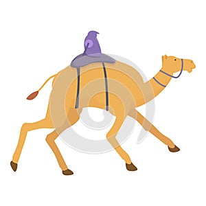 Arabia saudi run icon cartoon vector. Chase sport camel photo