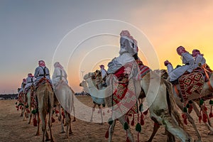 Arabian Camel ride in Saudi Arabia photo