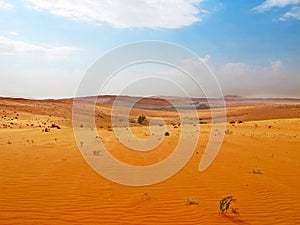 Arabian Desert
