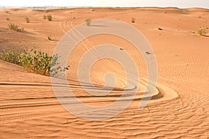 Arabian Desert Sand Dune and Vehicle Tracks