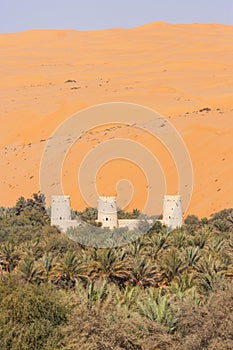 Arabian Fort in an Oasis