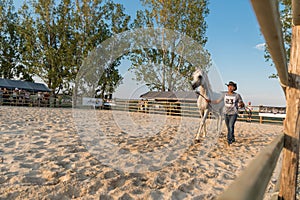 Arabian horse with owner