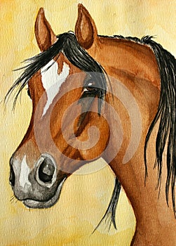 Arabian horse painting