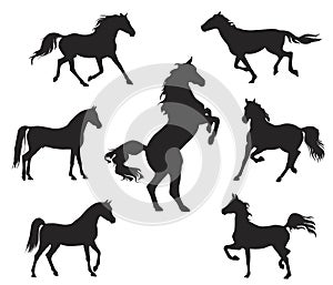 Arabian Horse silhouette