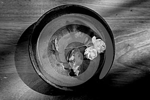 Arabian jasmine flowers black and white