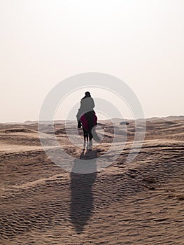 Arabian knight in the desert at sunset, Douz Tunisia, sahara desert