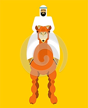 Arabian man on camel. OAE guy. Vector illustration