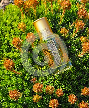 Arabian oud attar perfume or agarwood oil fragrances in mini bottle.