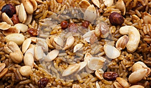 Arabian Rice Meal (Kabsa) Closeup