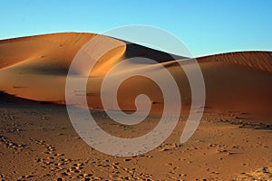Arabian Sand Dune