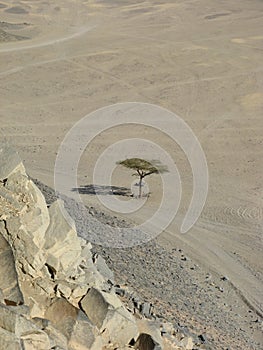 Arabian sand, Egypt, Africa