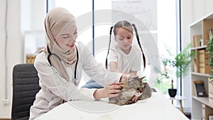 Arabian vet doctor and girl posing on camera with furry cat