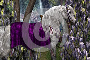 Arabian and Wisteria