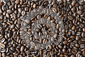 Arabic brown coffee beans