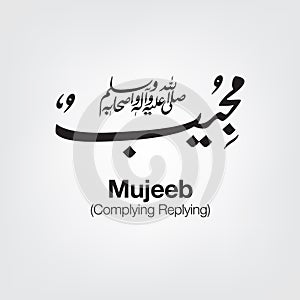 Mujeeb photo