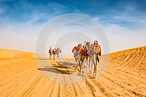 Arabic camels guided by Bedouins in desert of Abu Dhabi, U.A.E. Guided dromedaries by Bedouin men