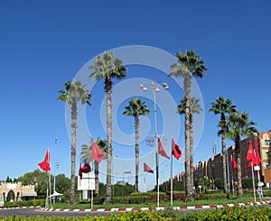 Arabic city square with palms