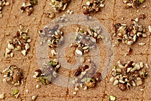 Arabic desserts with nuts