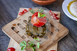 Arabic Grapes Leaves Starter Meal