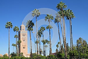 Arabic mosque minaret among the palm trees