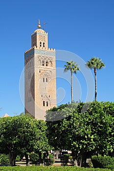 Arabic mosque minaret among the palm trees photo