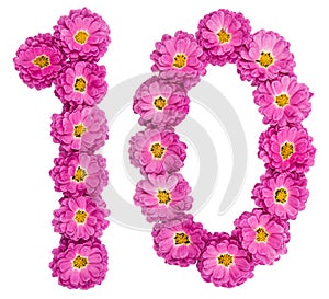 Arabic numeral 10, ten, from flowers of chrysanthemum, isolated