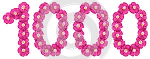 Arabic numeral 1000, one thousand, from pink flowers of flax, isolated on white background